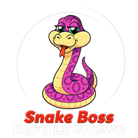 Snake Boss Reptile Shows