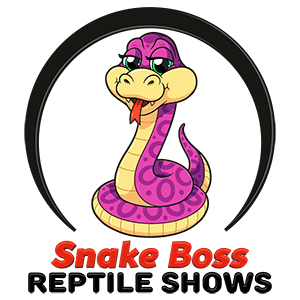 reptile shows